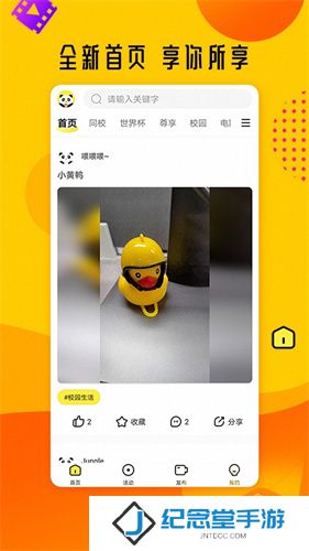 菠萝影视