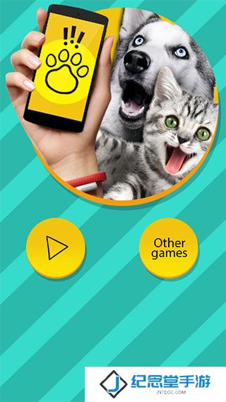 PET Translator