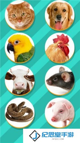 PET Translator