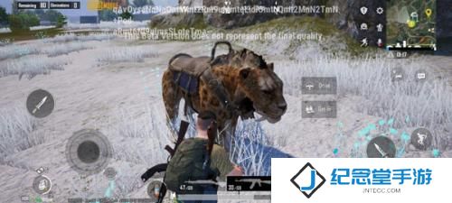 pubg国际服