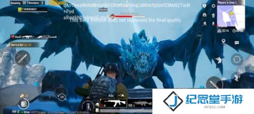 pubg国际服