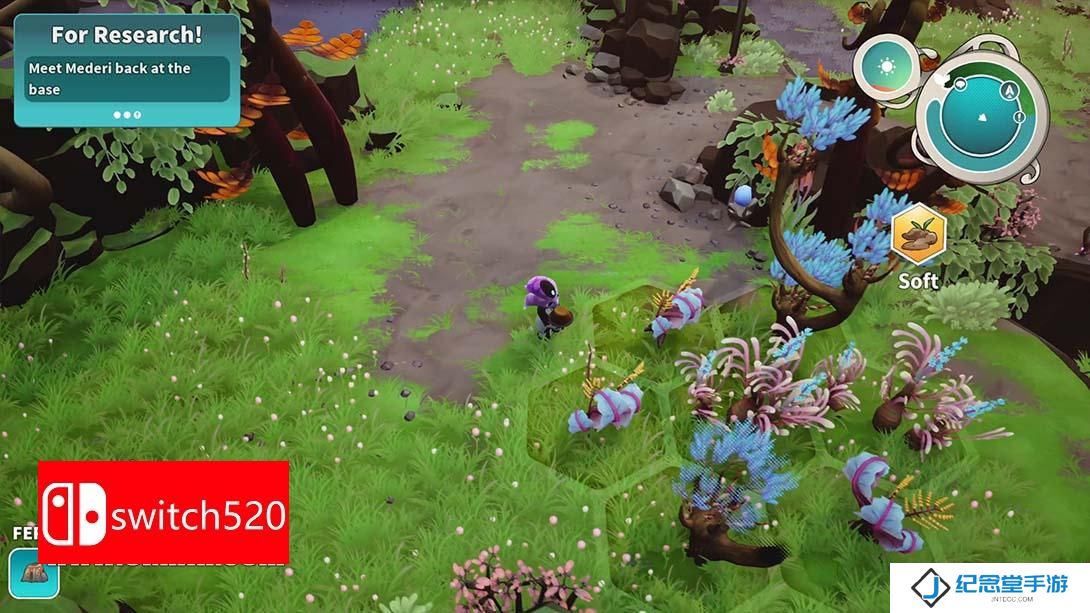【美版】远花 .Distant Bloom 英语_4