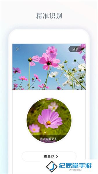 识花