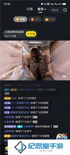街猫