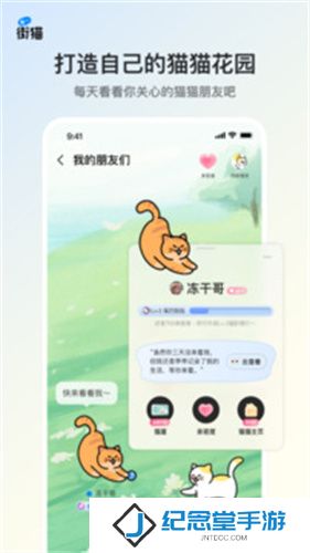 街猫