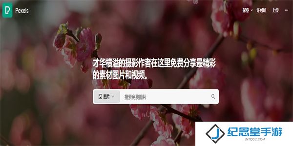 Pexels手机版